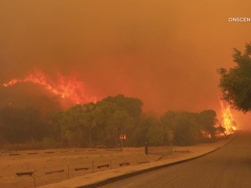 Brush fire evacuations