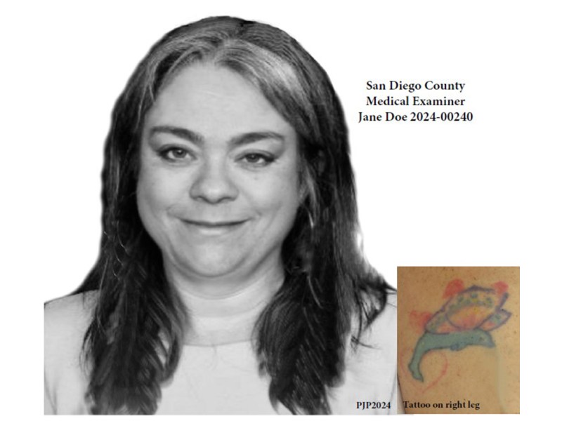 Sketch of a woman who was found dead next to Forester Creek in Santee on Jan. 22. Courtesy San Diego County News Center.