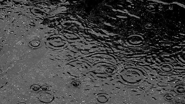 Raindrops in a puddle of water