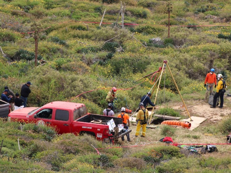 Bodies found