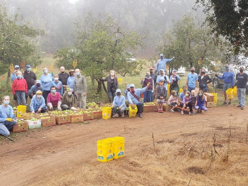 Senior Gleaners with fruit