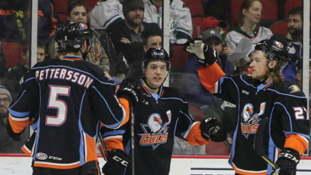 Gulls players celebrate victory