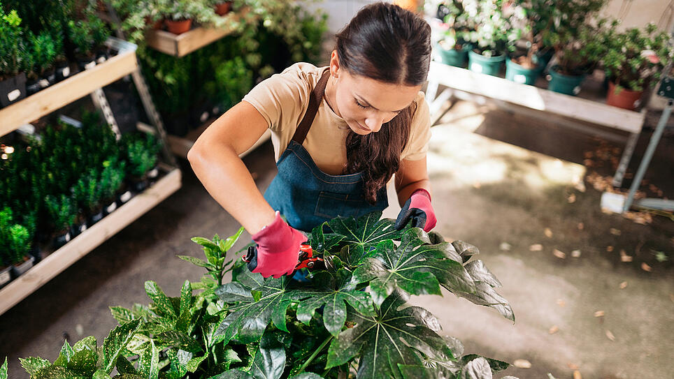 woman-tends-plants-in-greenhouse-inner-work-for-retention