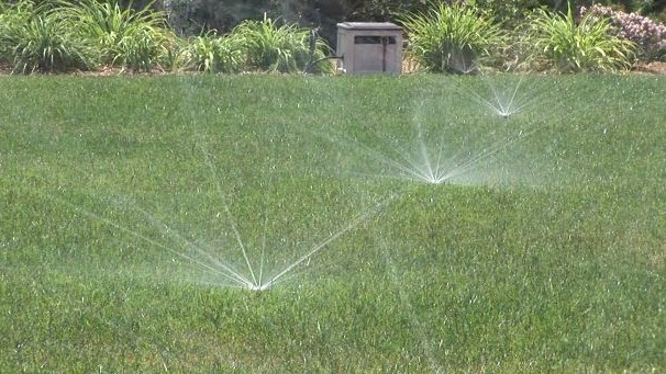 Lawn Watering