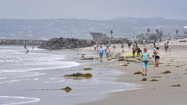 Ocean Beach was sparsely populated during the mid-day overcast of Memorial Day.