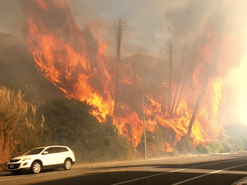 Carlsbad Brush Fire